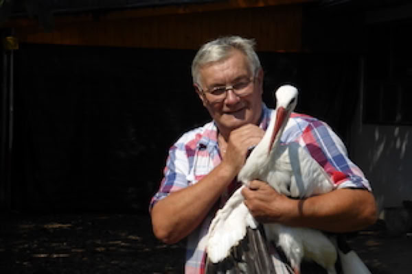 Der alte Mann und der Storch, arte