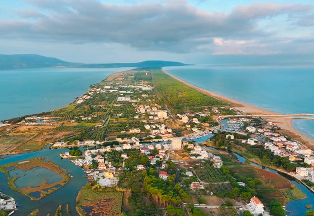 Korallen in der Adria