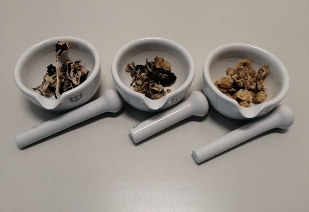 Drei Schalen mit verschiedene psychoaktiven Pilzen