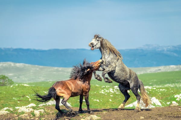 Symbolbild für Magersucht. Hände von Kette gefesselt. Zu Dokumentarfilm Nur Haut und Knochen - Wenn Männer magersüchtig sind. arte 2020. Produktion: Micafilm
