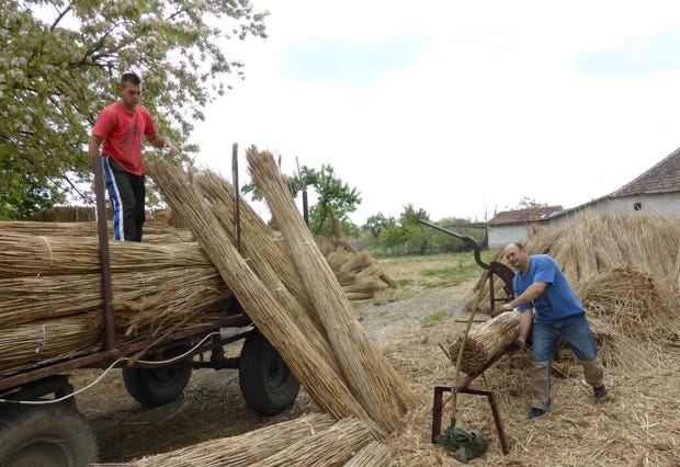 Der Balkan Express, Serbien, Reportage, arte, micafilm 2016
